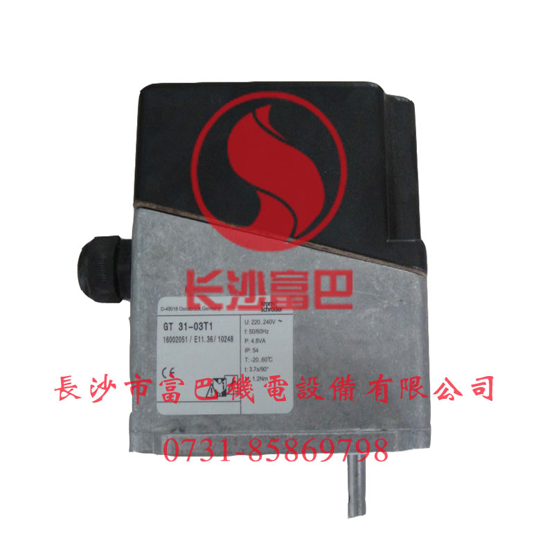 ���Ƶ�GT31ϵ��늄ӈ�(zh��)����